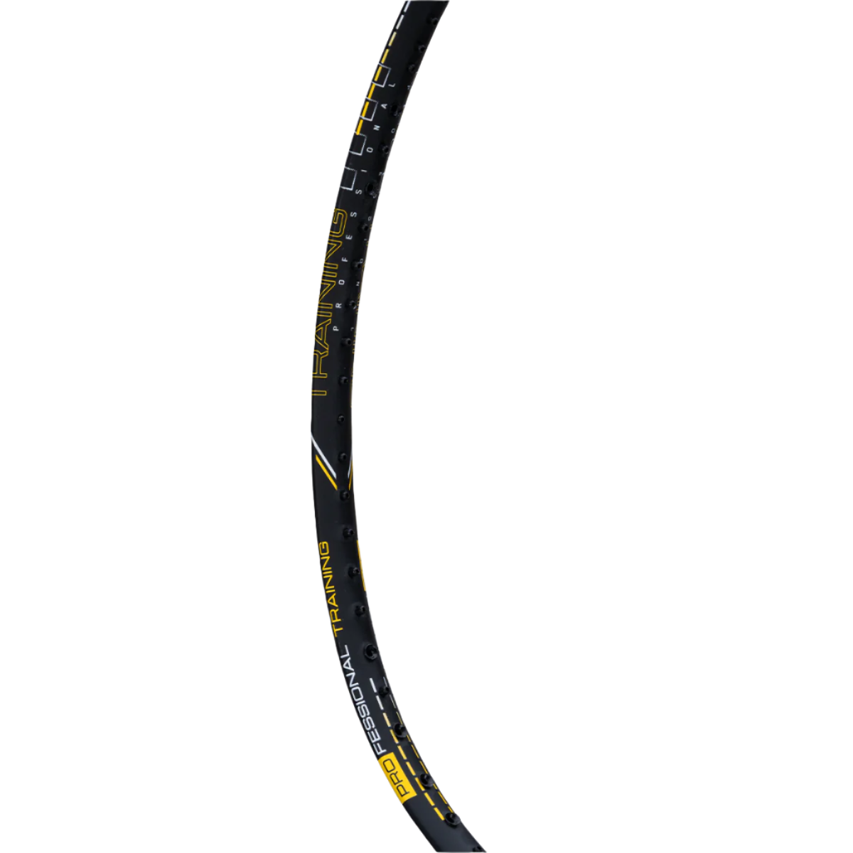 Hundred Training Heavy Racket (120 Grams)