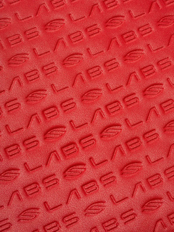 Selkirk LABS Red Paddle Collectors Case