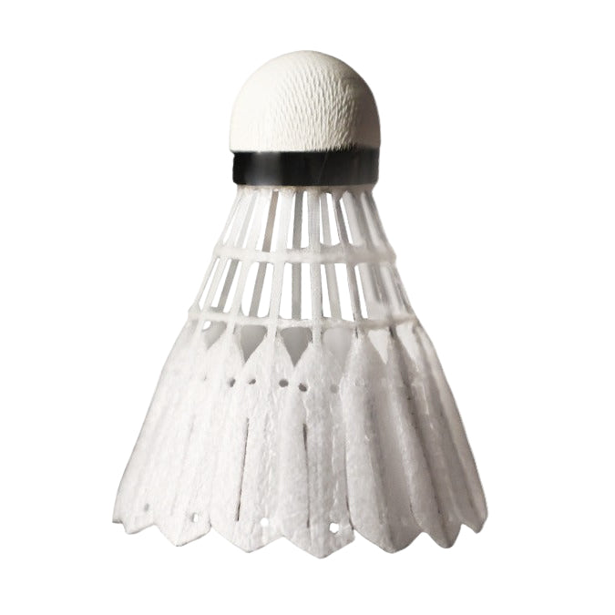 Victor New Carbonsonic NCS Pro Badminton Shuttlecocks (2025)