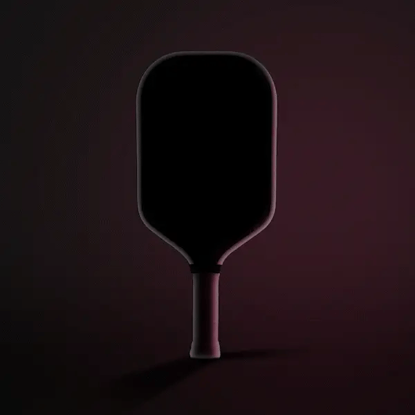 JOOLA Tyson McGuffin Magnus Pro IV 16mm Pickleball Paddle