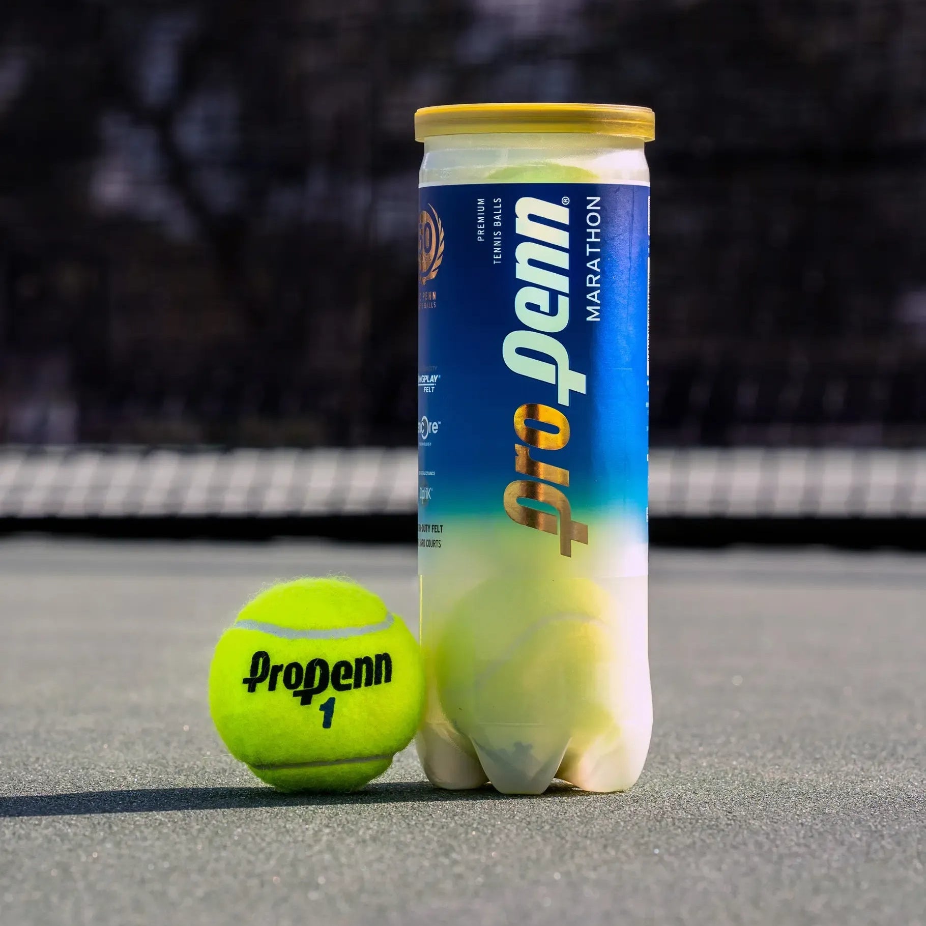 HEAD Pro Penn Marathon EXTRA DUTY Tennis Ball (3-Ball Can)