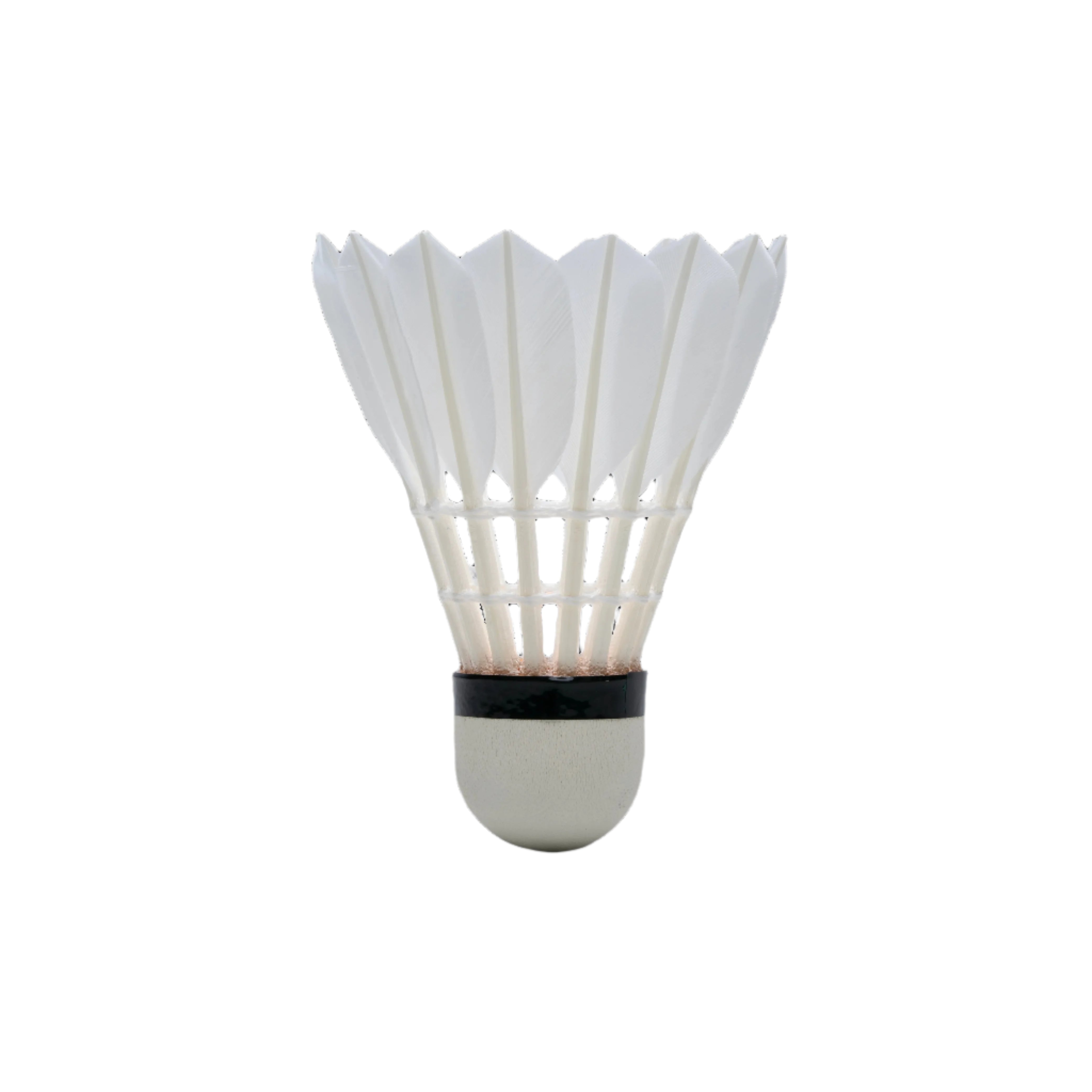 Hundred F80 Feather Shuttlecock (12 Shuttles)